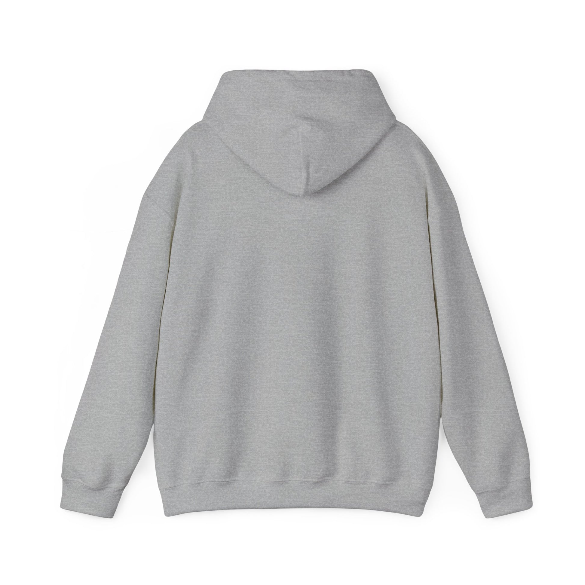 Academia Rushmore - Sudadera gris - Retro Cool