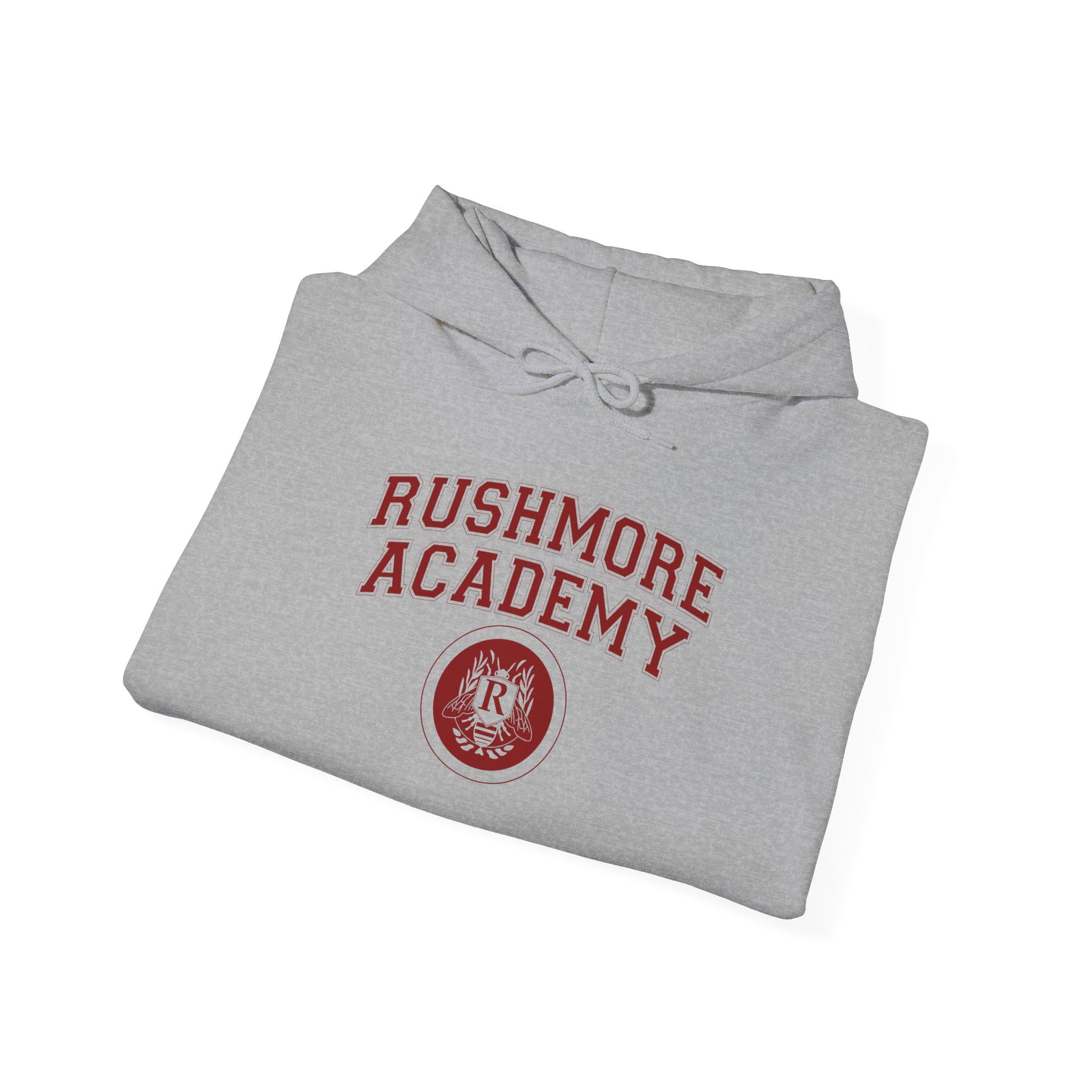 Academia Rushmore - Sudadera gris - Retro Cool