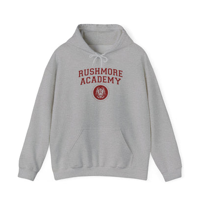 Academia Rushmore - Sudadera gris - Retro Cool